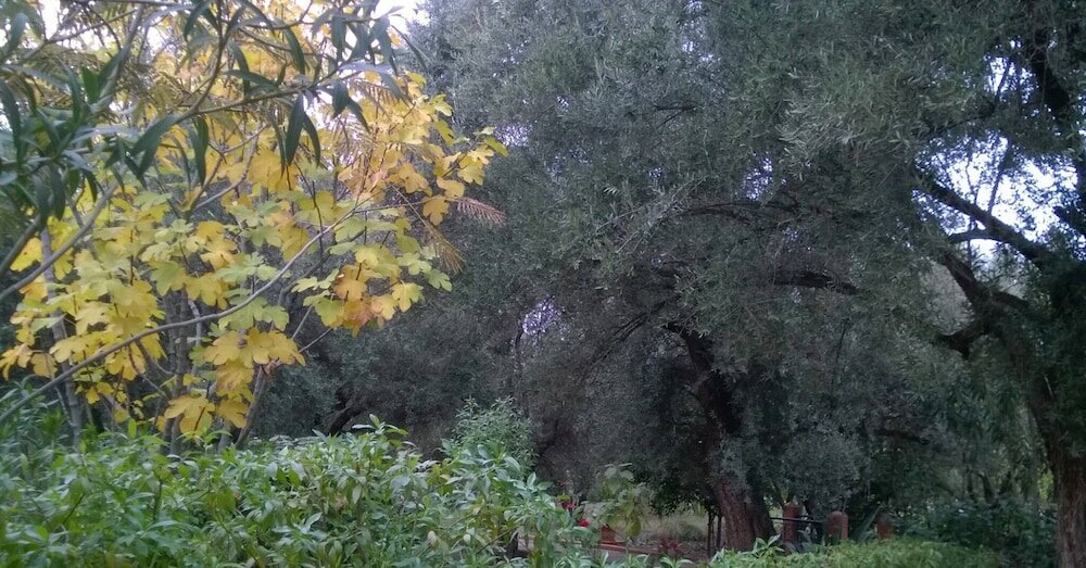 Фото Maison Boughdira