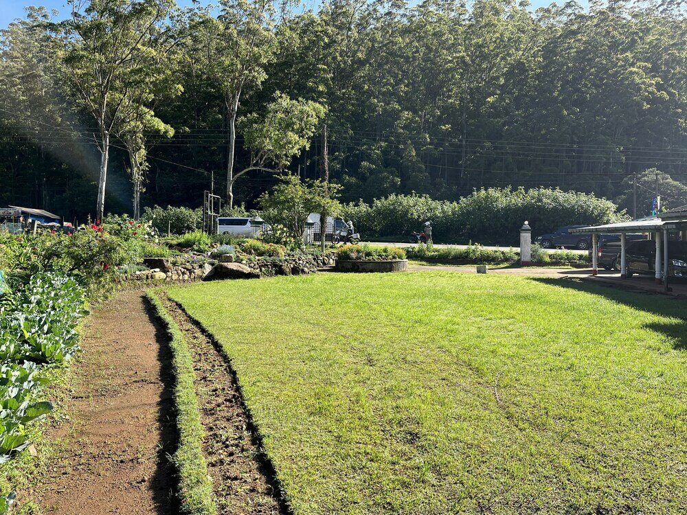 Фото The Green Savana Holiday Bungalow