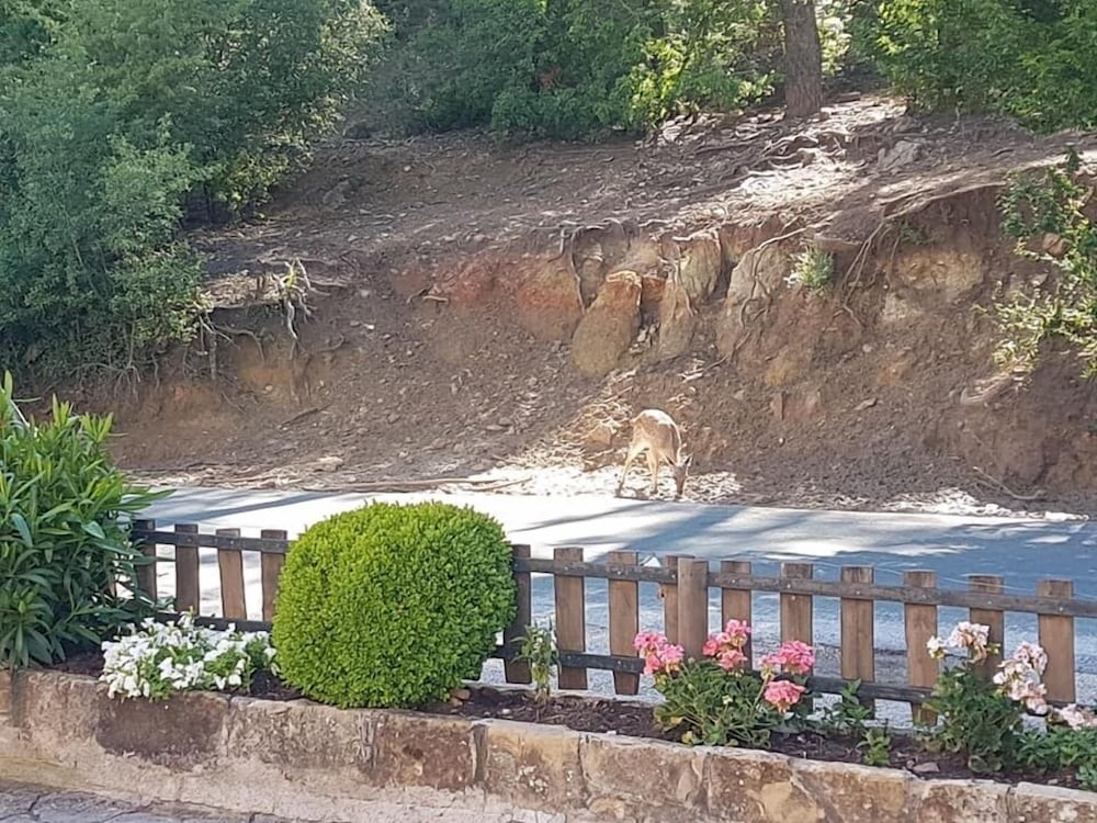 Фото Aparthotel Monte Piedra