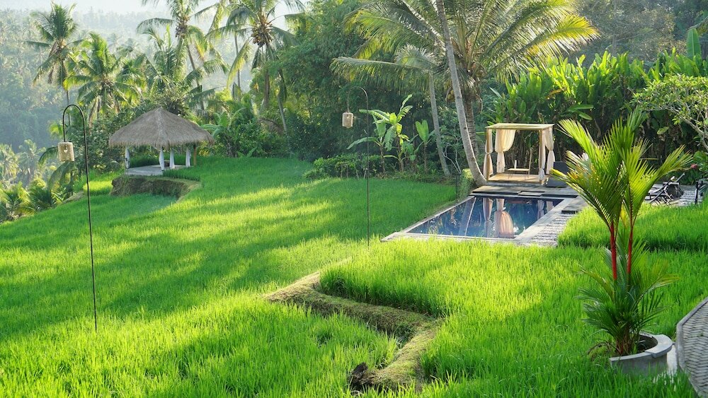 Фото Bali De Pardis Cottage