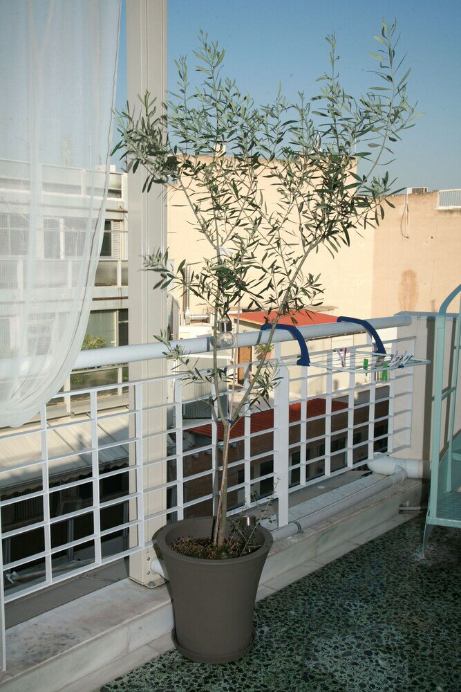 Фото Acropolis Suites