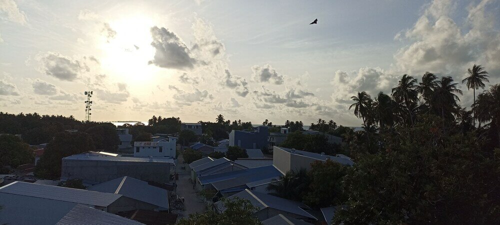 Фото Гостевой дом Blue Wave Maldives
