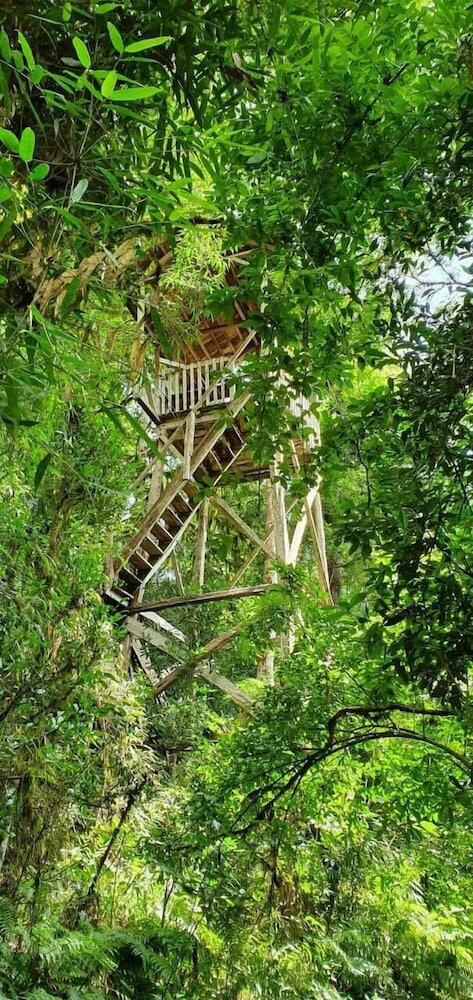 Фото Margay - Reserva Natural y Lodge