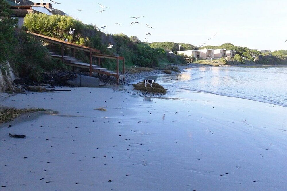 Фото Franskraal Collection