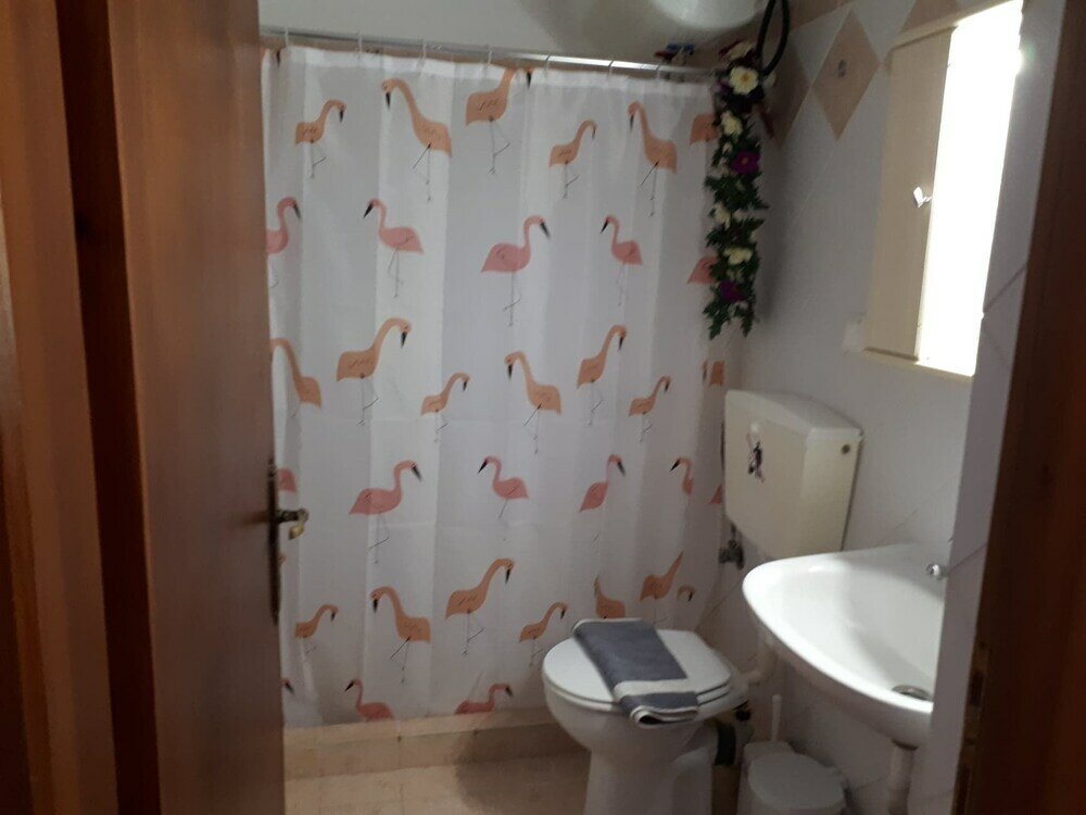 Фото Antonia House