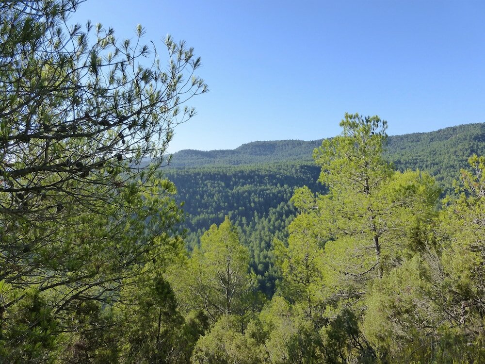 Фото La Casa de Los Moyas