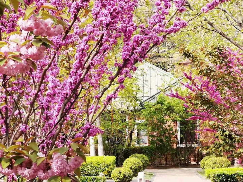 Фото Railway 1896 Garden Hotel