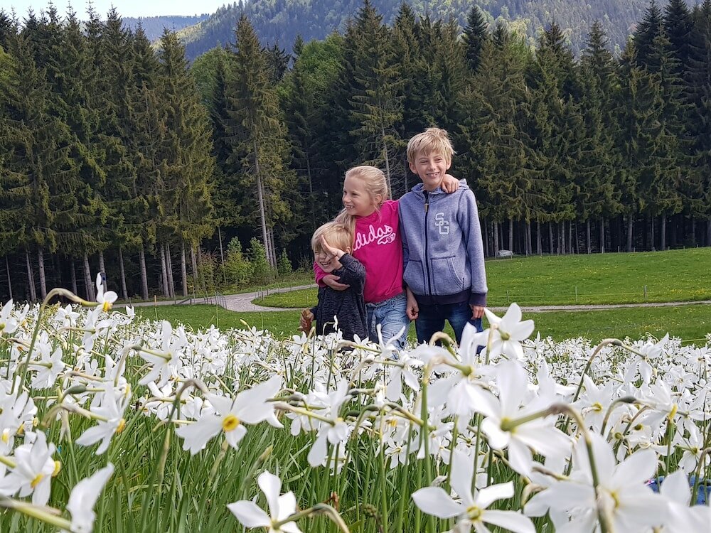 Фото Montreux holiday home