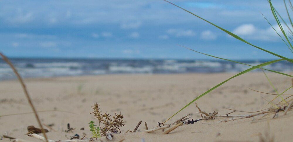 Фото Rabarberi Lv — SeaSide Village