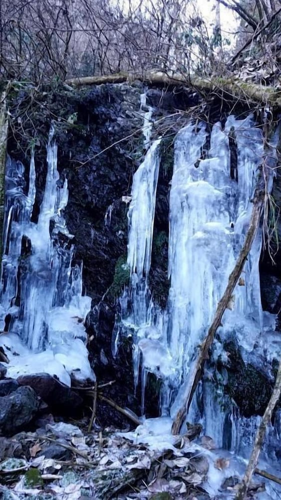 Фото Guesthouse-Lahar- Hostel