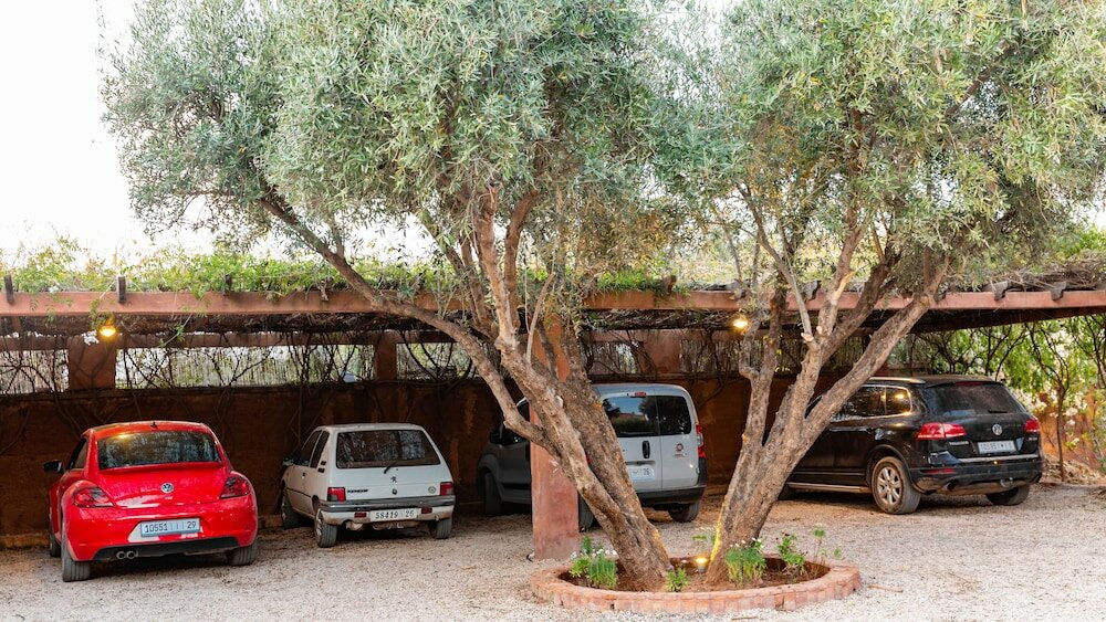 Фото GreenLife Marrakech