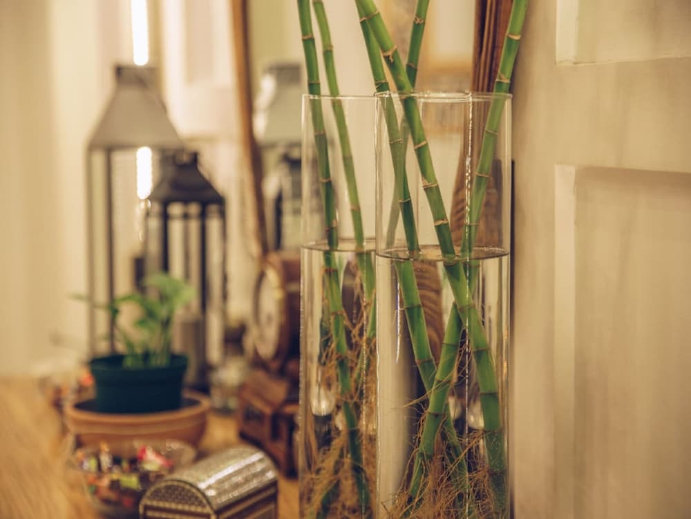 Фото Paris Hotel Cairo