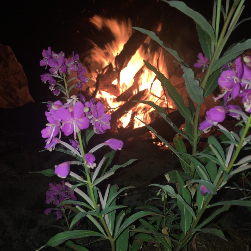 Фото Cantwell Lodge