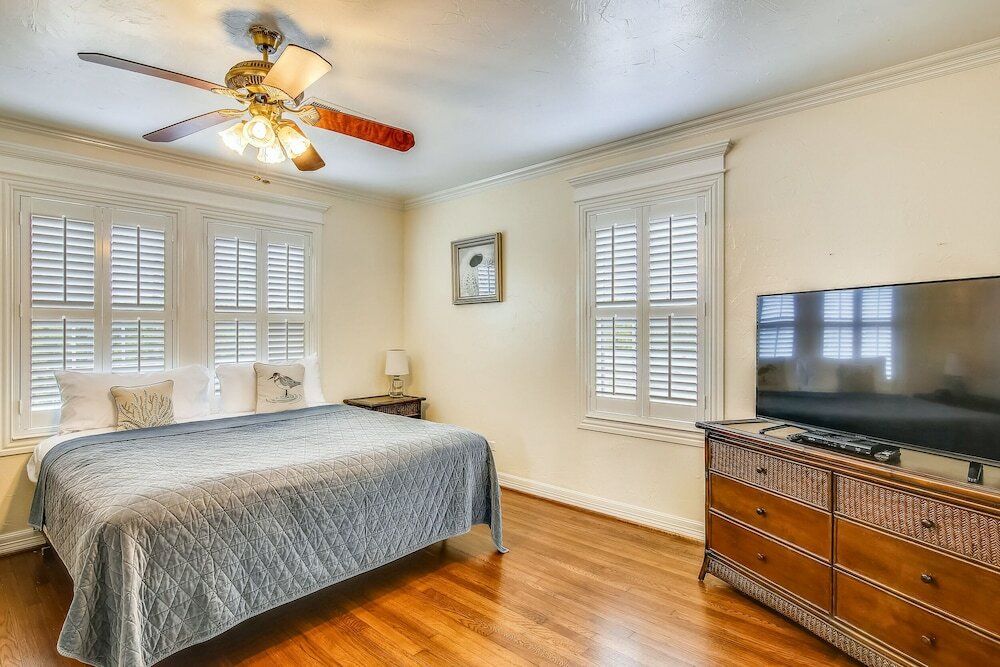 Фото The Turquoise Turtle