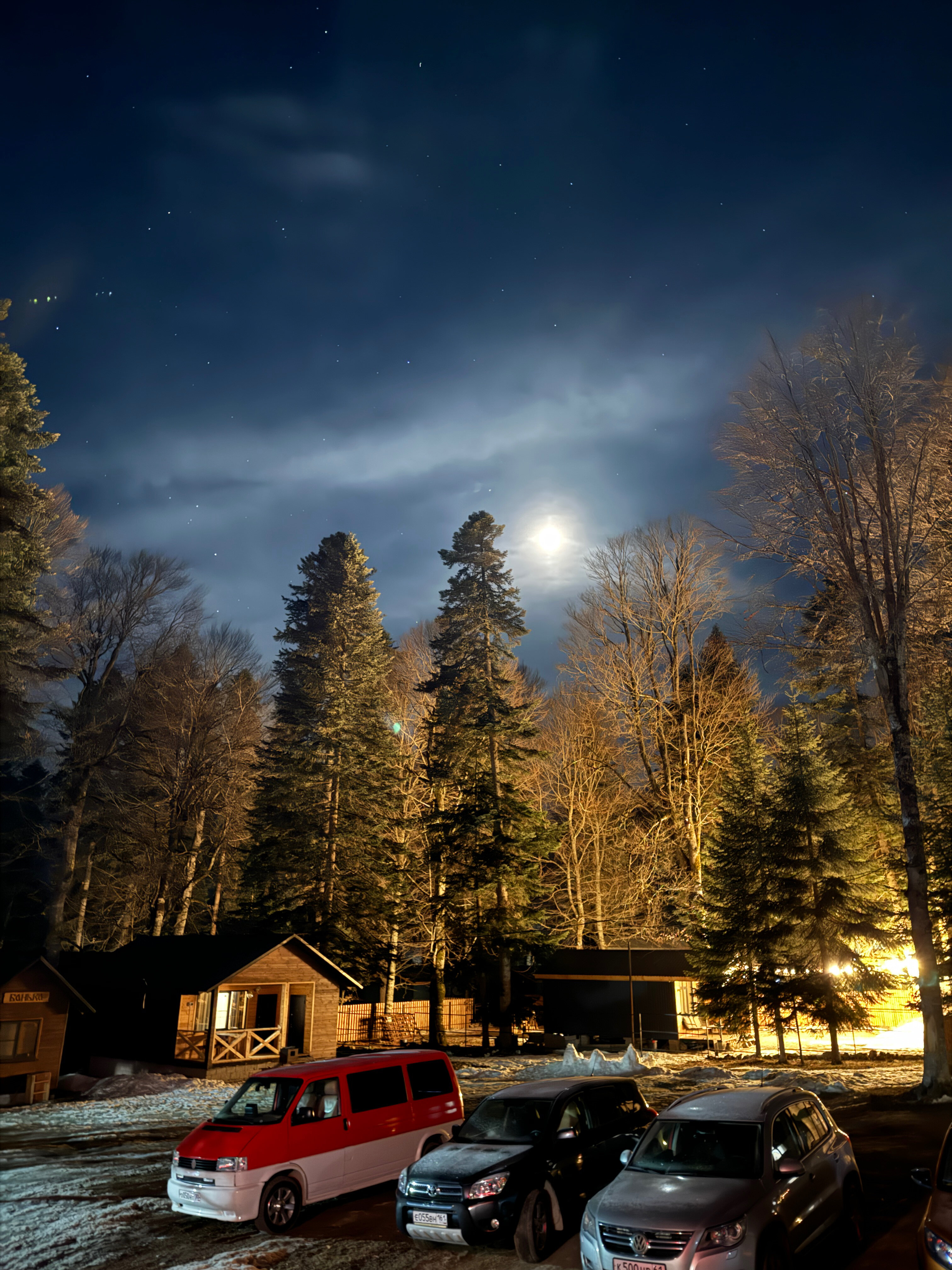 Фото Forest Yard