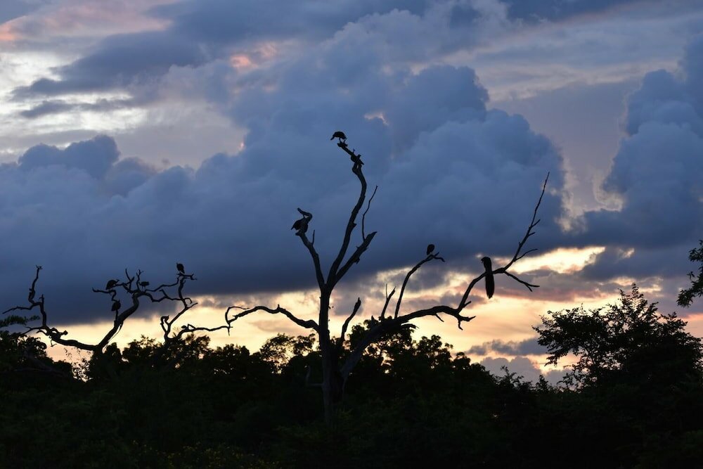 Фото Kele Yala Sri Lanka