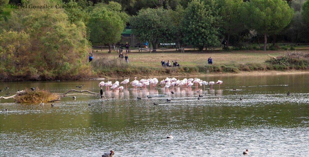 Фото Vivienda Rural el Retorno