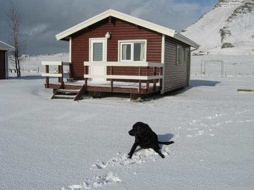 Гостиница Guesthouse M& xF3; ar в Акранесе