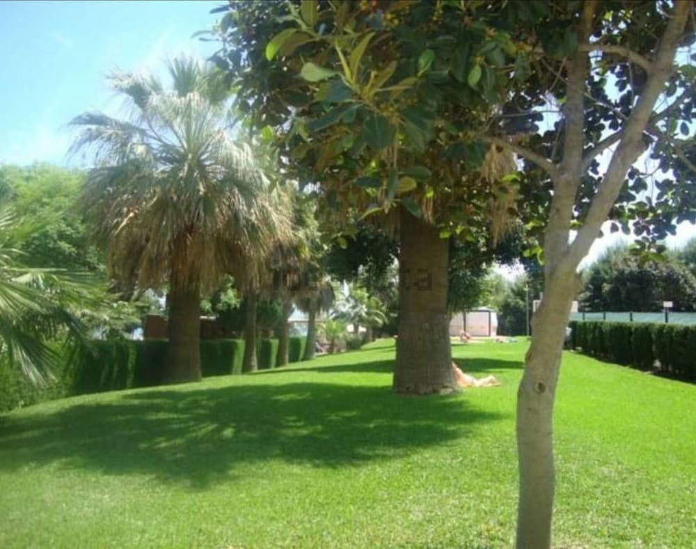 Фото Brise Marine