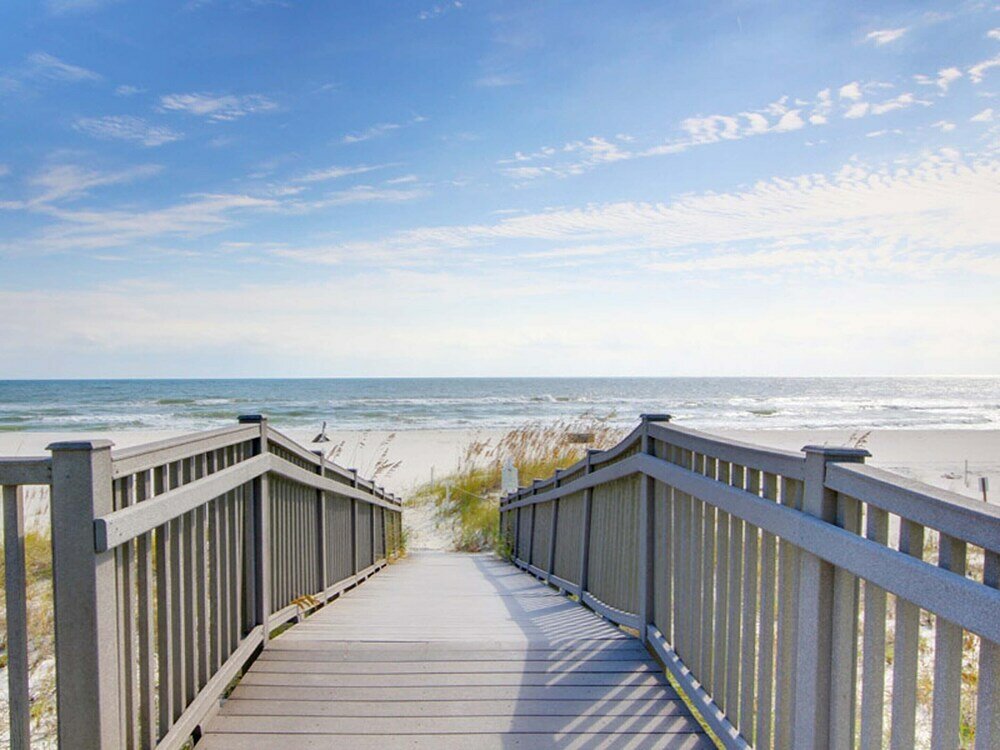 Фото Sharp Reef № 4 - Endless Summer