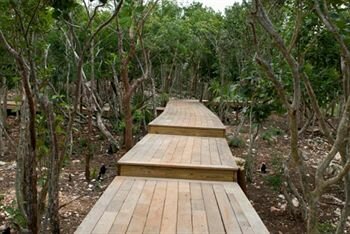 Фото The Cove Eleuthera