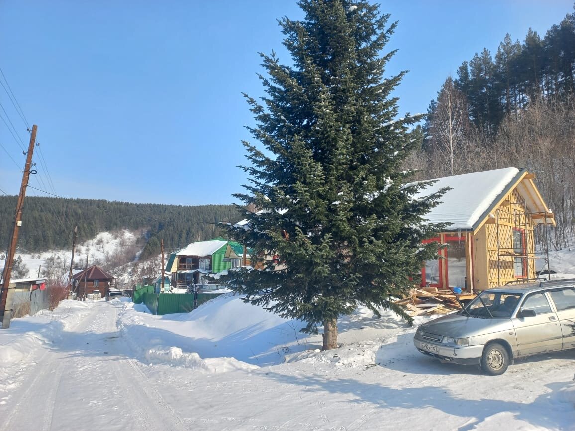 Фото Златогор