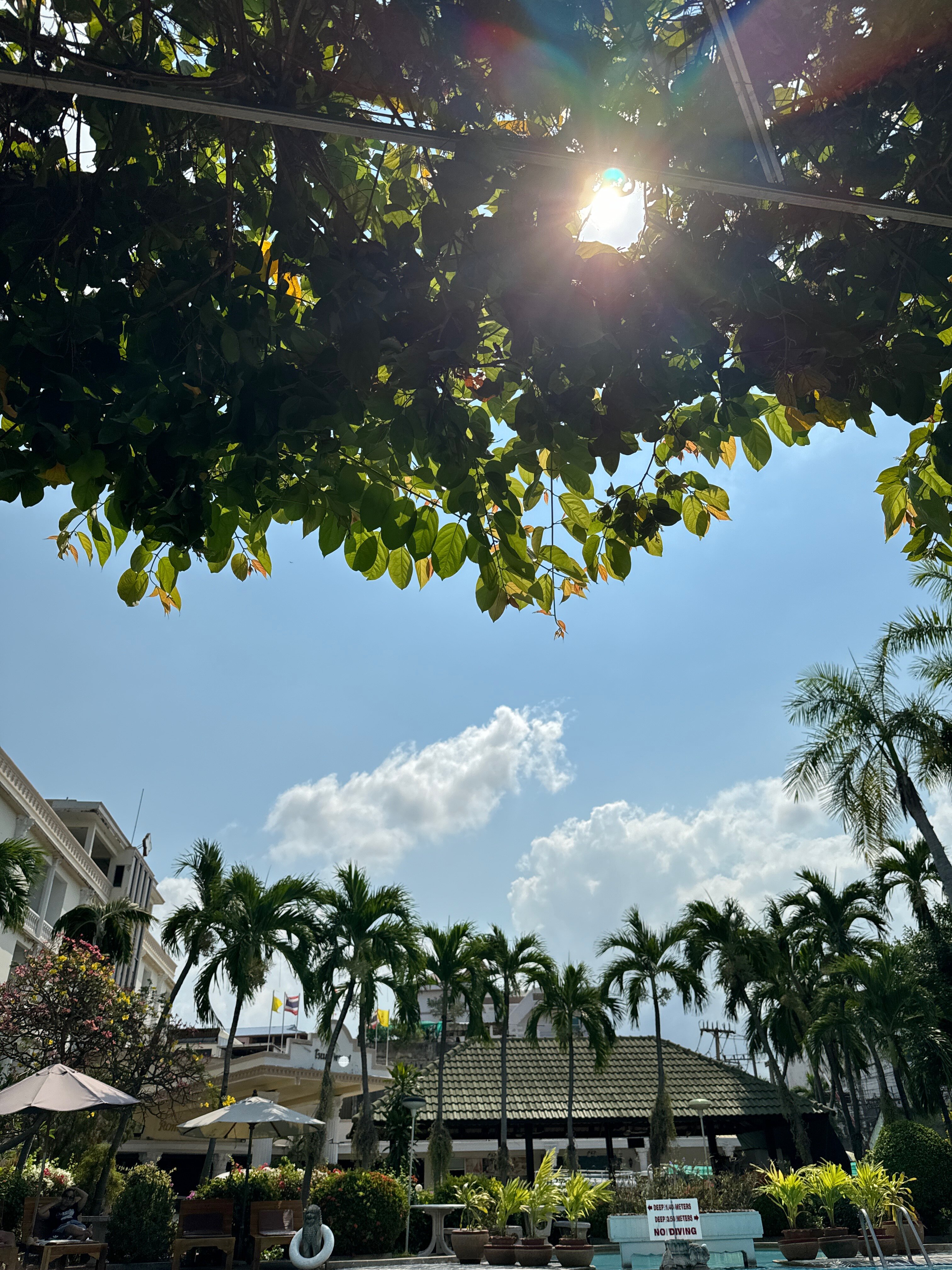 Фото Romeo Palace Hotel