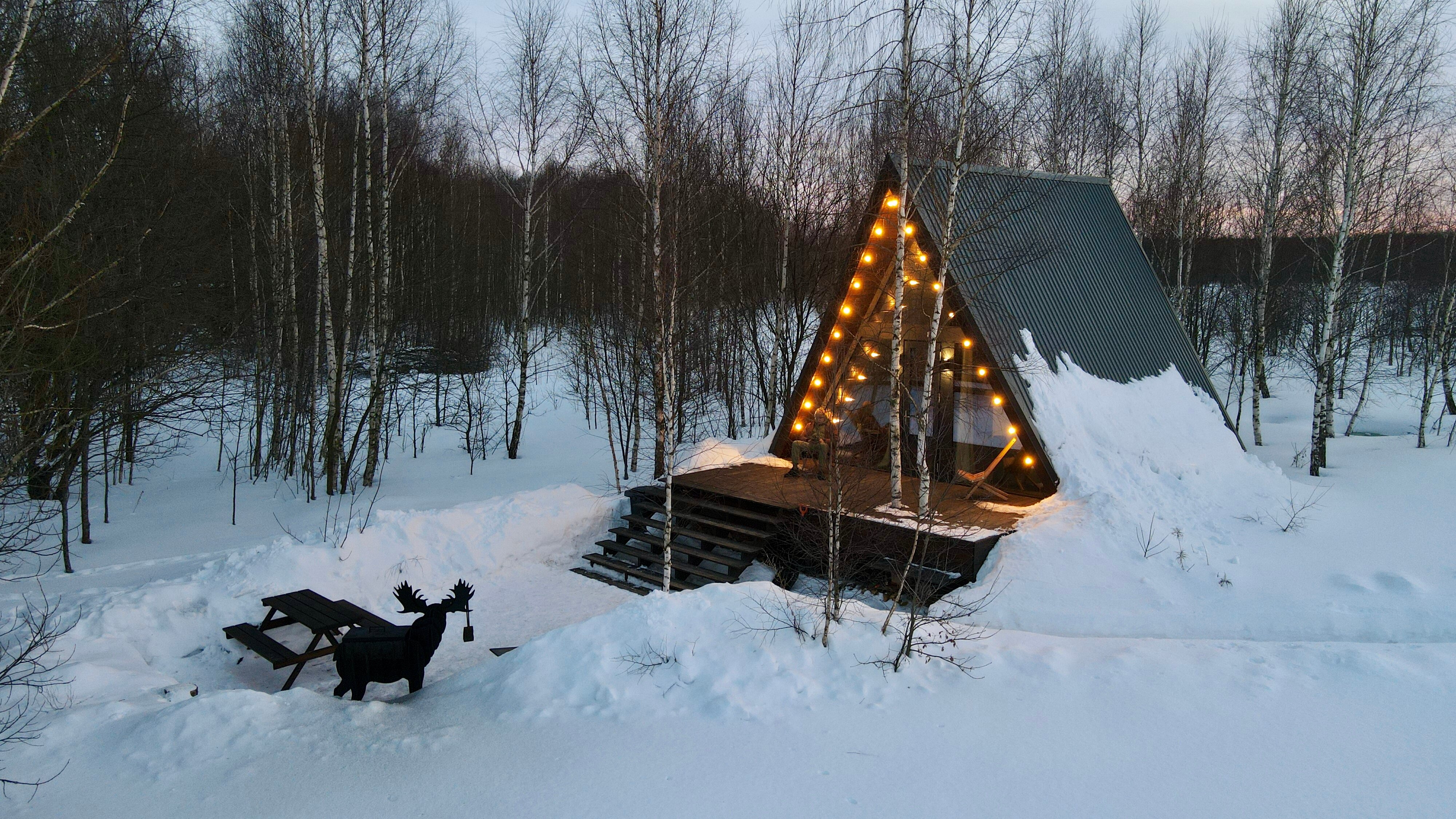 Фото Лес и небо