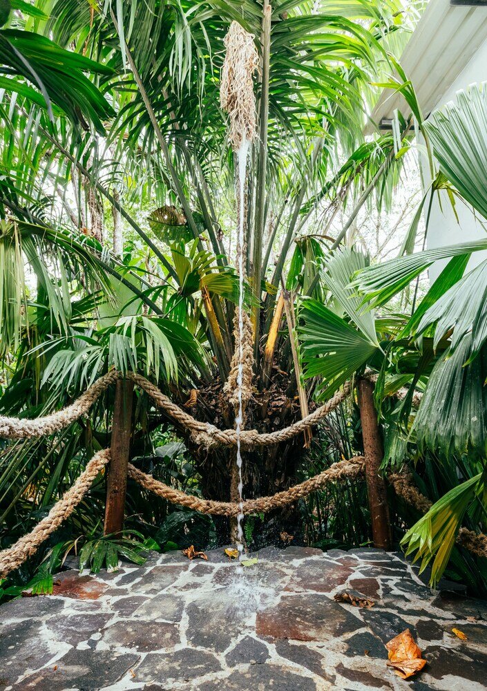 Фото Gigi Brown Suites Puerto Viejo