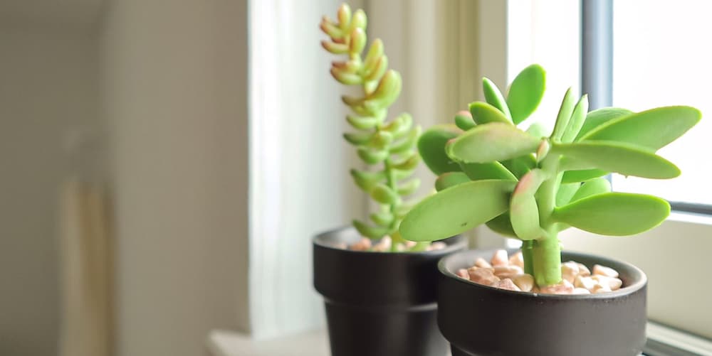 Фото Bayside Hakodate