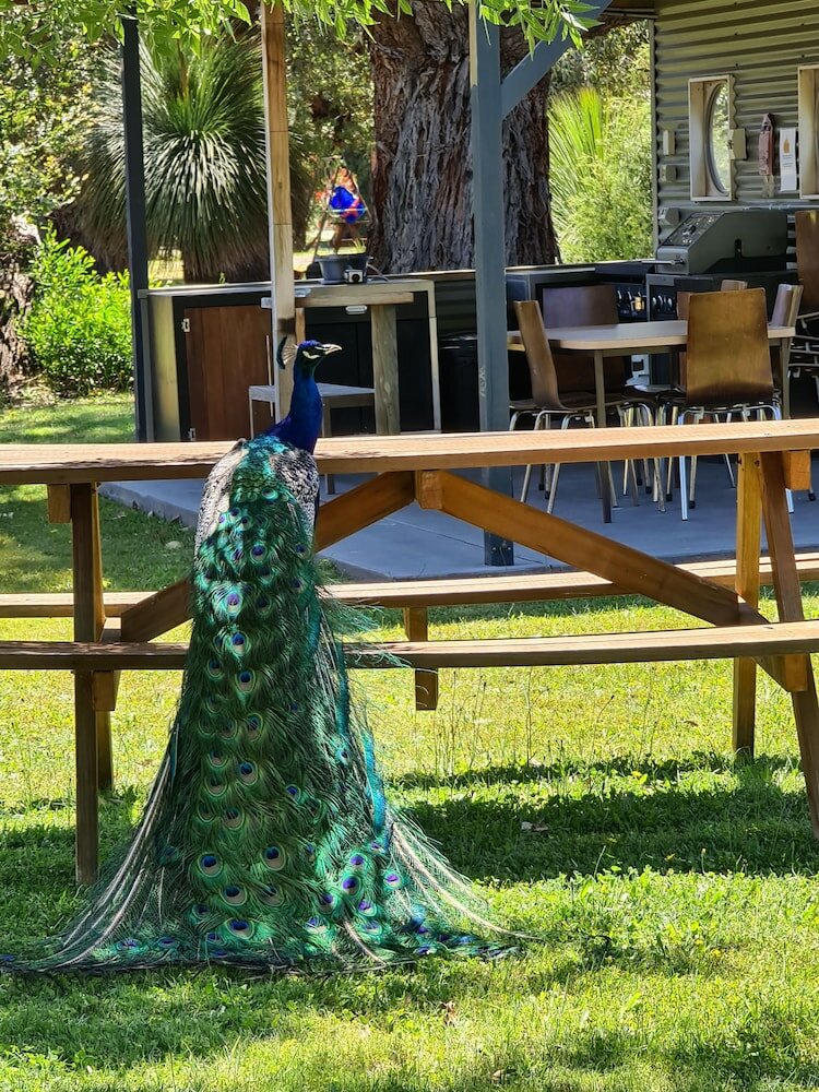 Фото Halls Haven Holiday Units