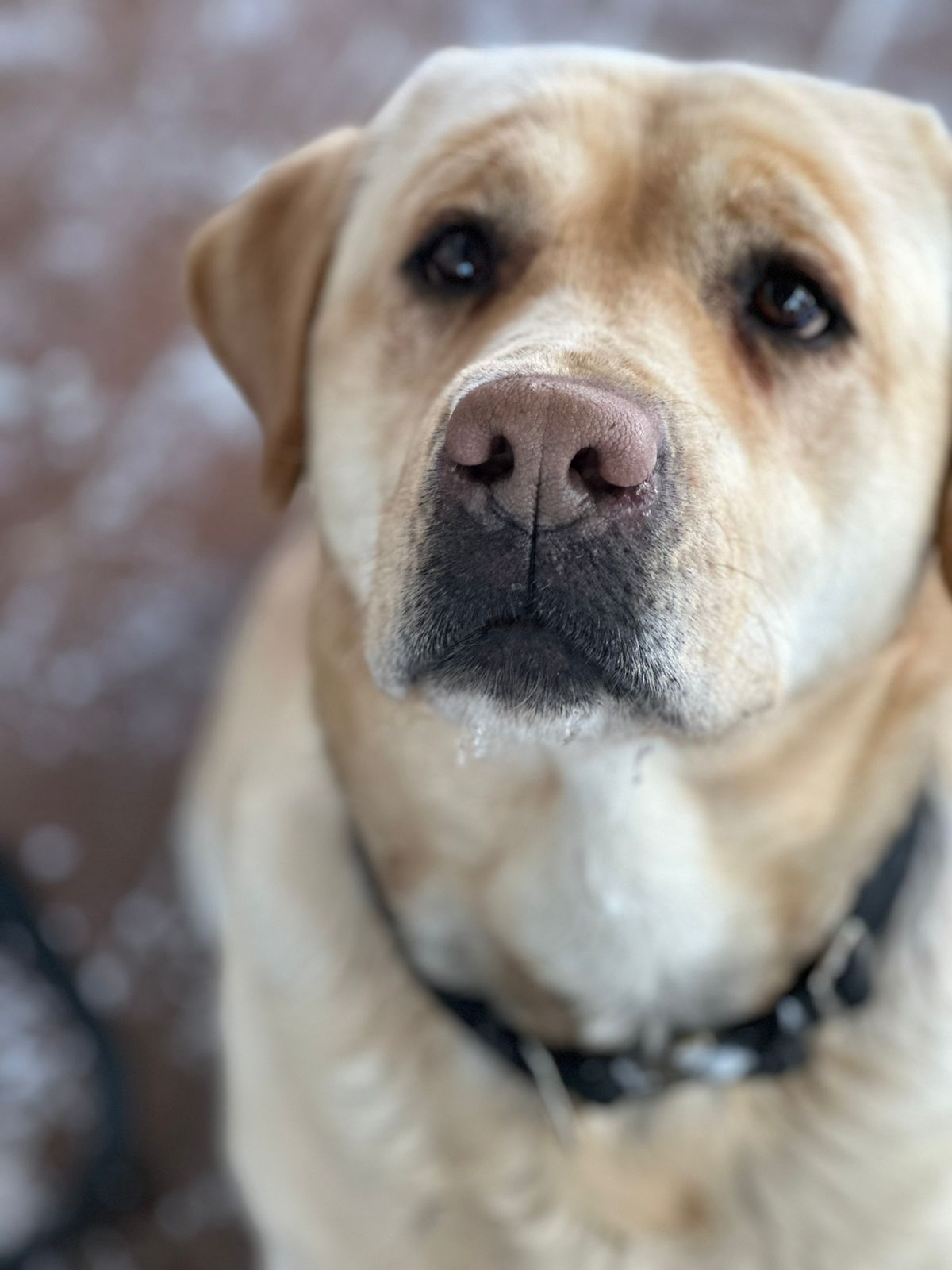 Фото Южный Паркъ