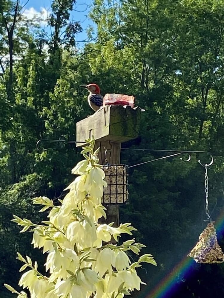 Фото The Sanctuary On Huron River