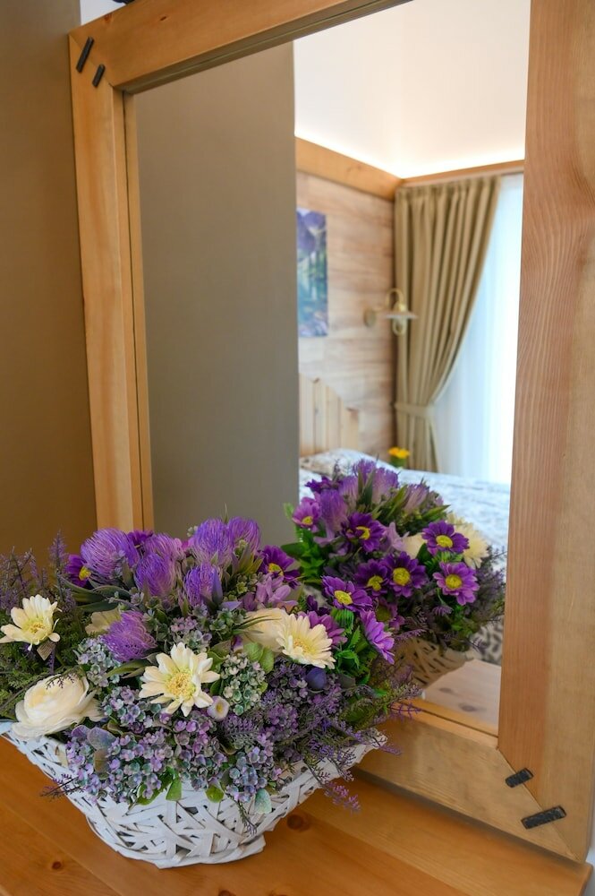 Фото Villa Raphael near Pirin Golf Resort