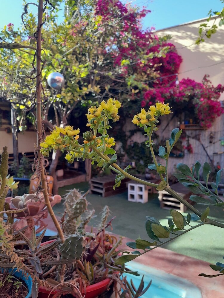 Фото Estacion Mendoza Hostel