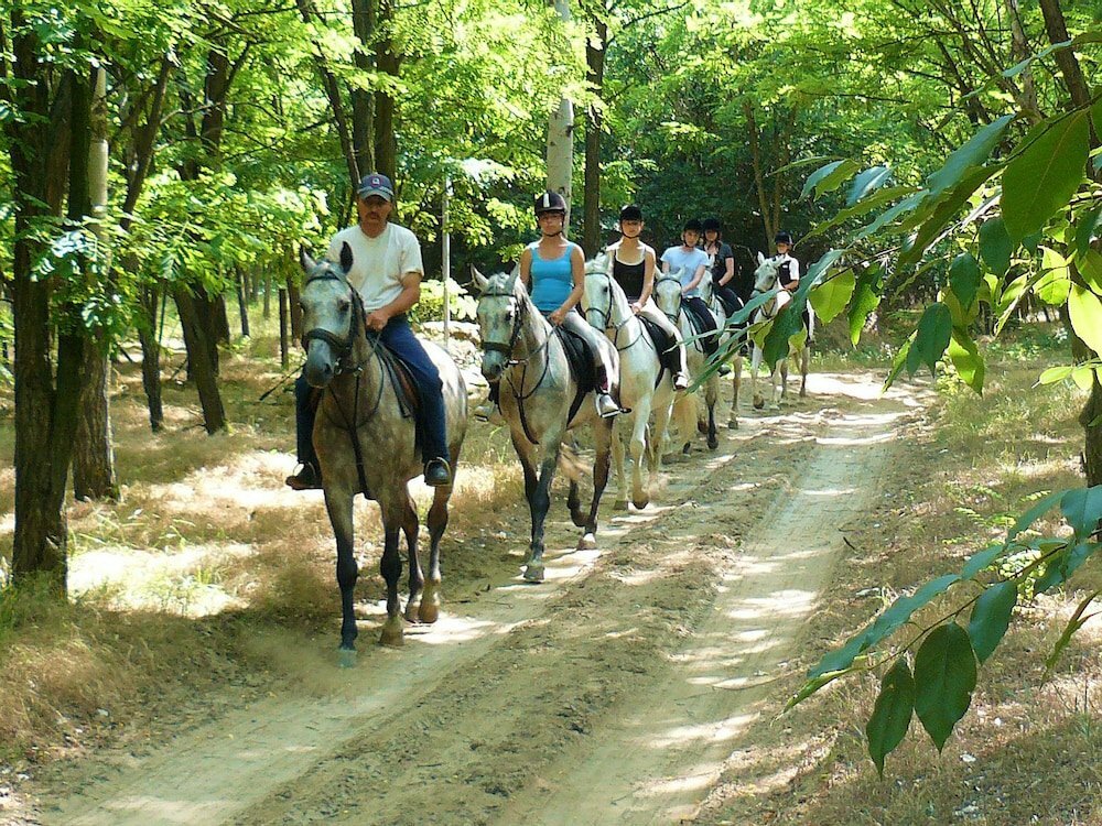 Фото Gereby Kuria Hotel es Lovasudvar