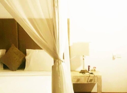 Гостиница Palm Hill Guest House