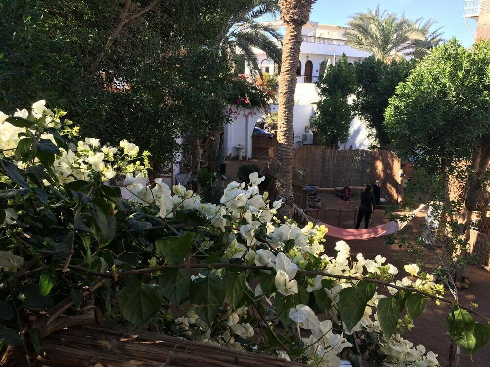 Фото Sunrise Dahab Camp