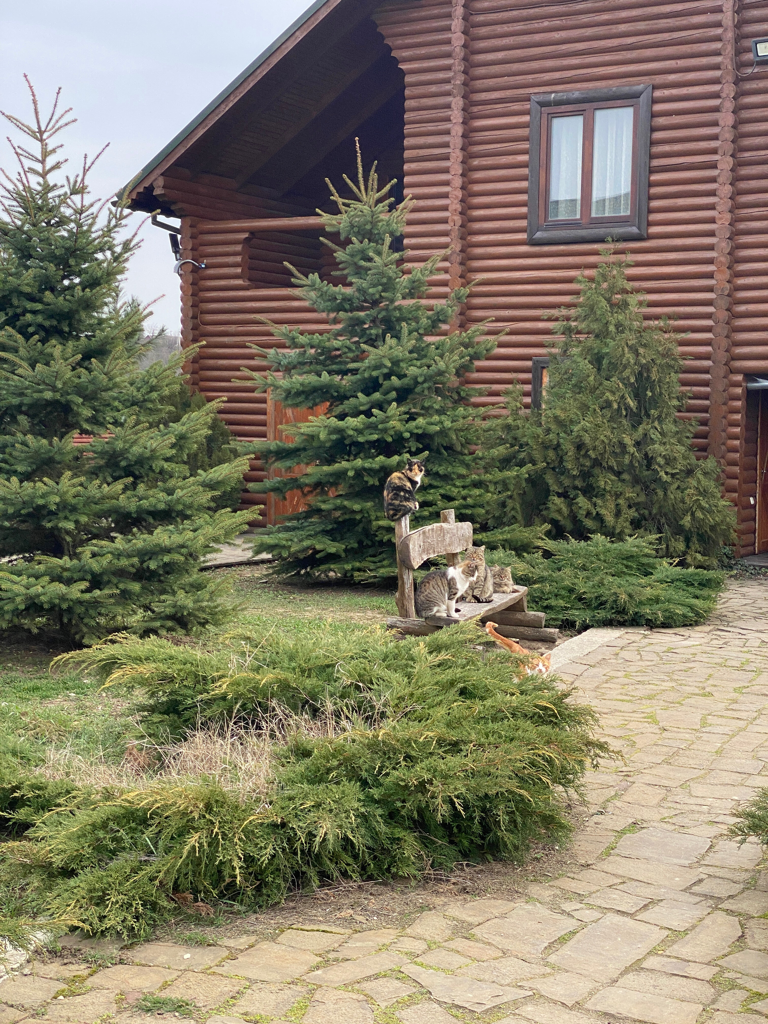 Фото База активного отдыха СВХ