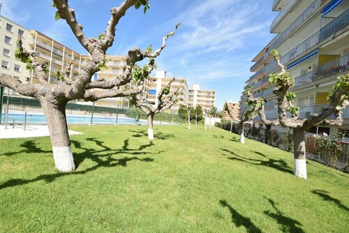 Гостиница Apartamento Pineda III Palm