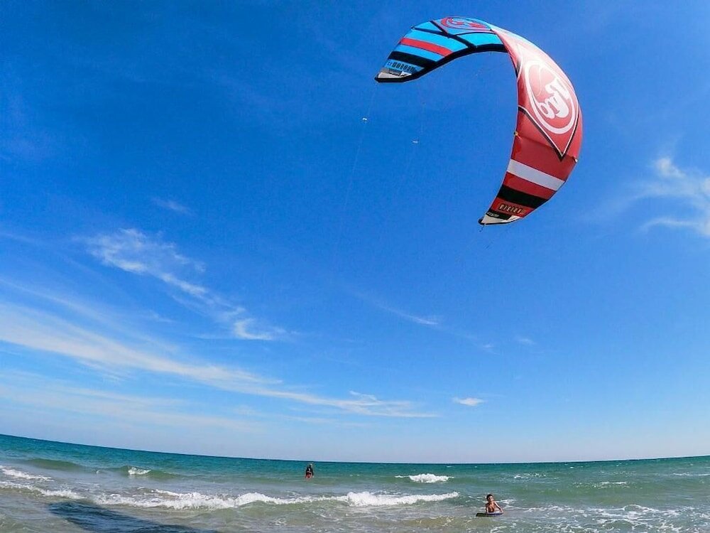 Фото Weißer Schwan