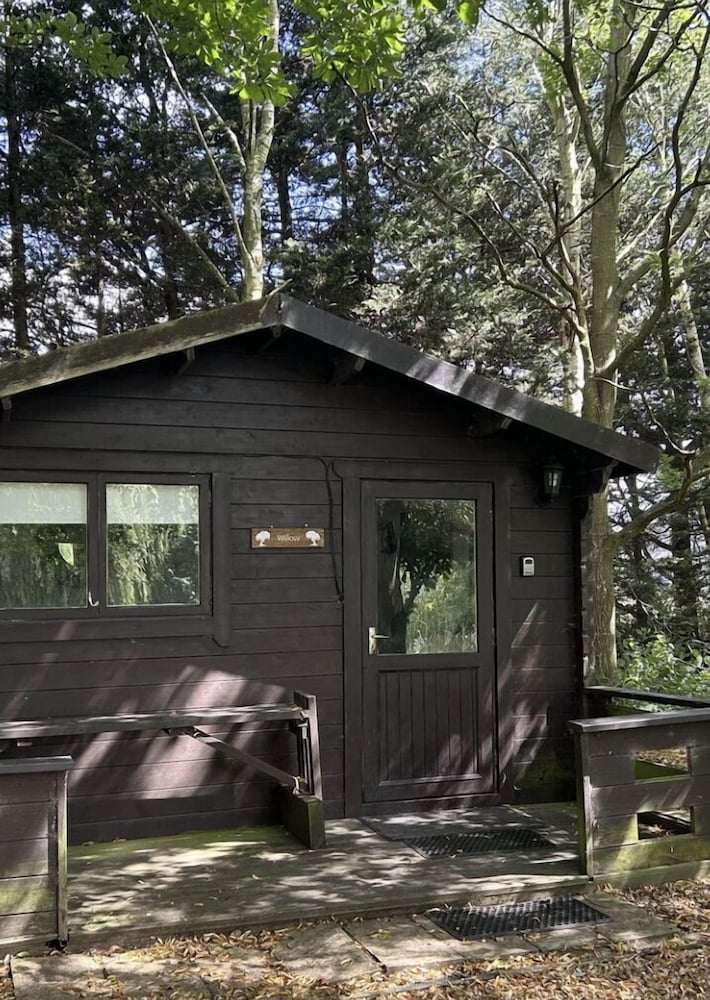 Фото Willow by Paymán Club