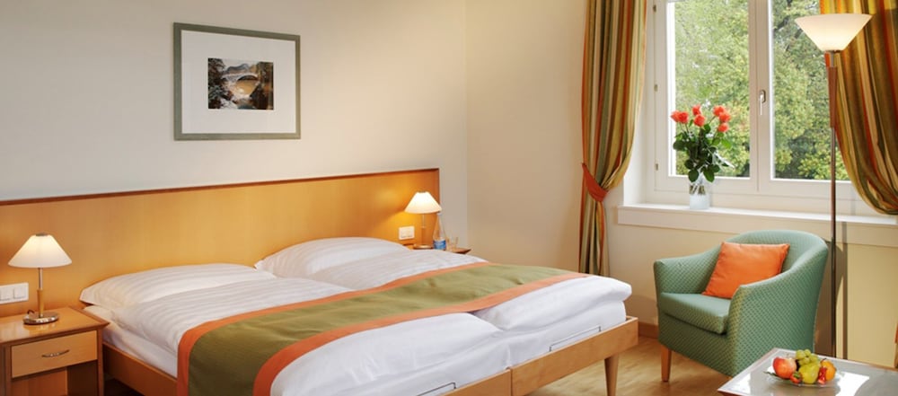 Фото E-Rooms Minusio