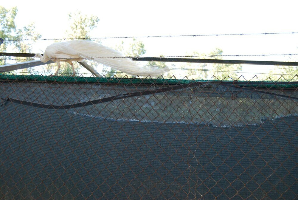 Фото Vivienda Rural el Retorno