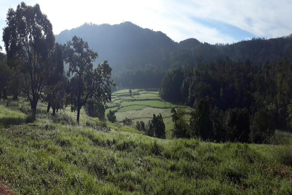 Фото Kadumane Hills Resorts