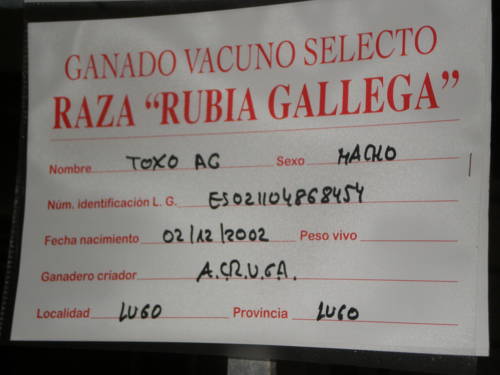 Фото Hotel Linares