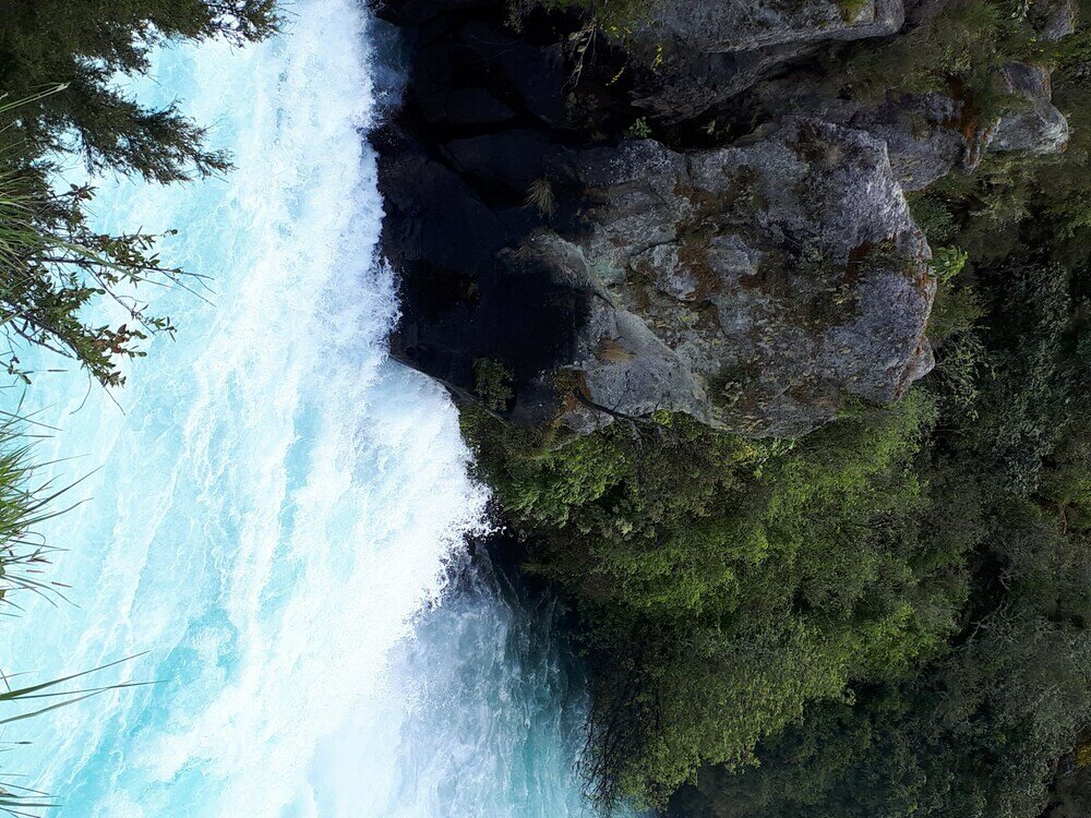 Фото Orchard View FarmStay Retreat