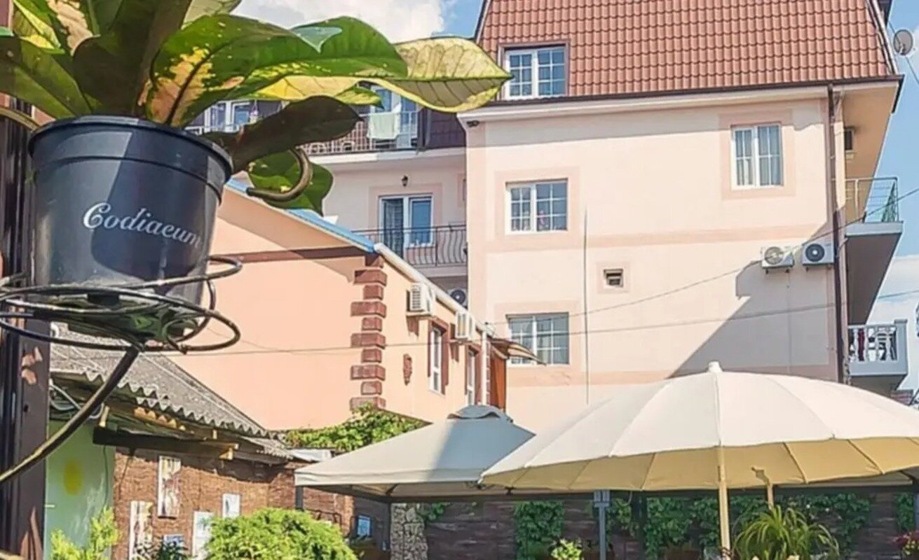 Фото Николетта