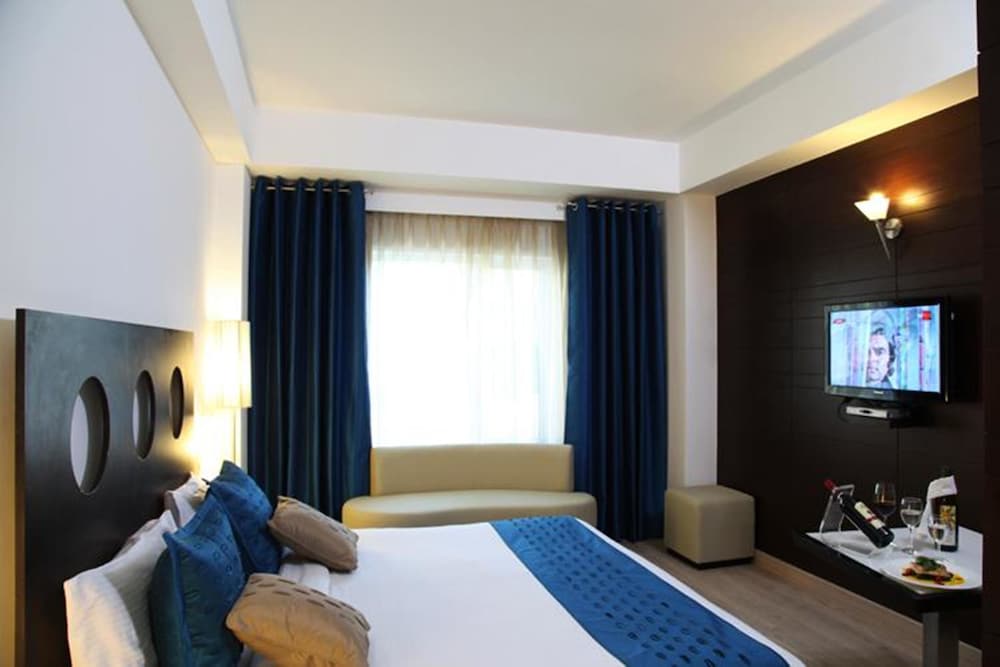 Фото Silver Ferns