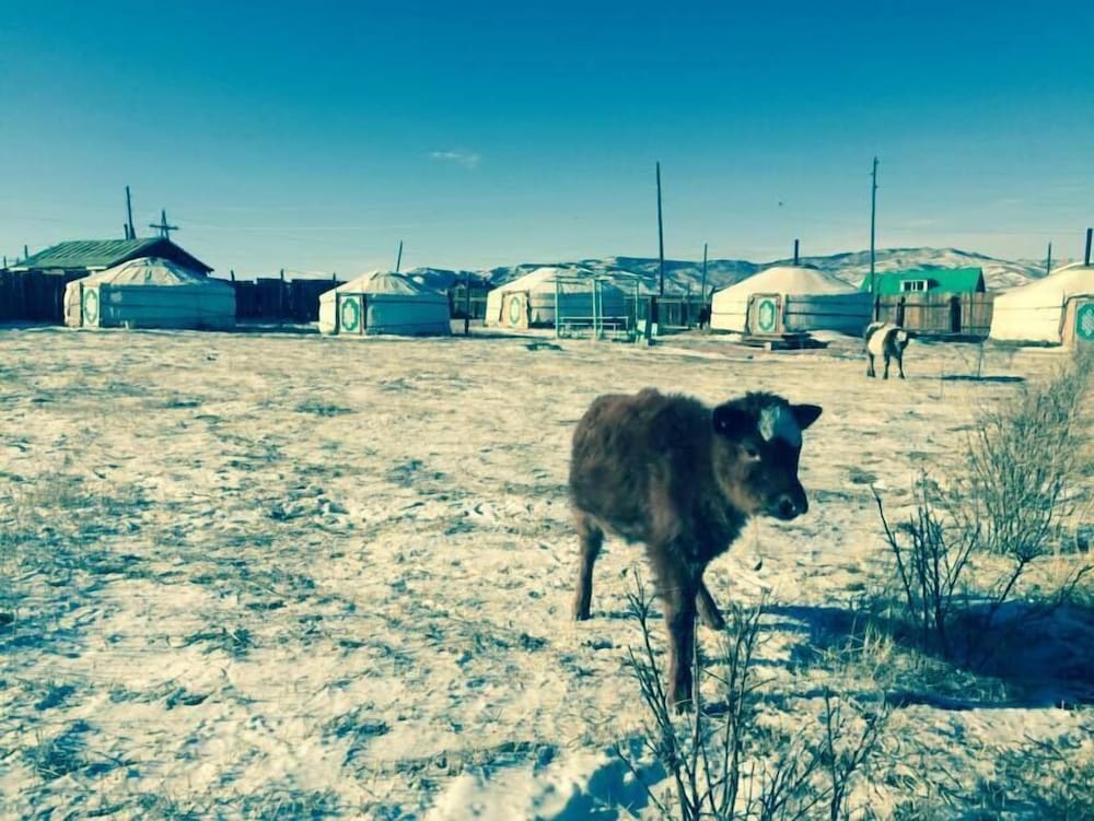 Фото Gaya's guesthouse